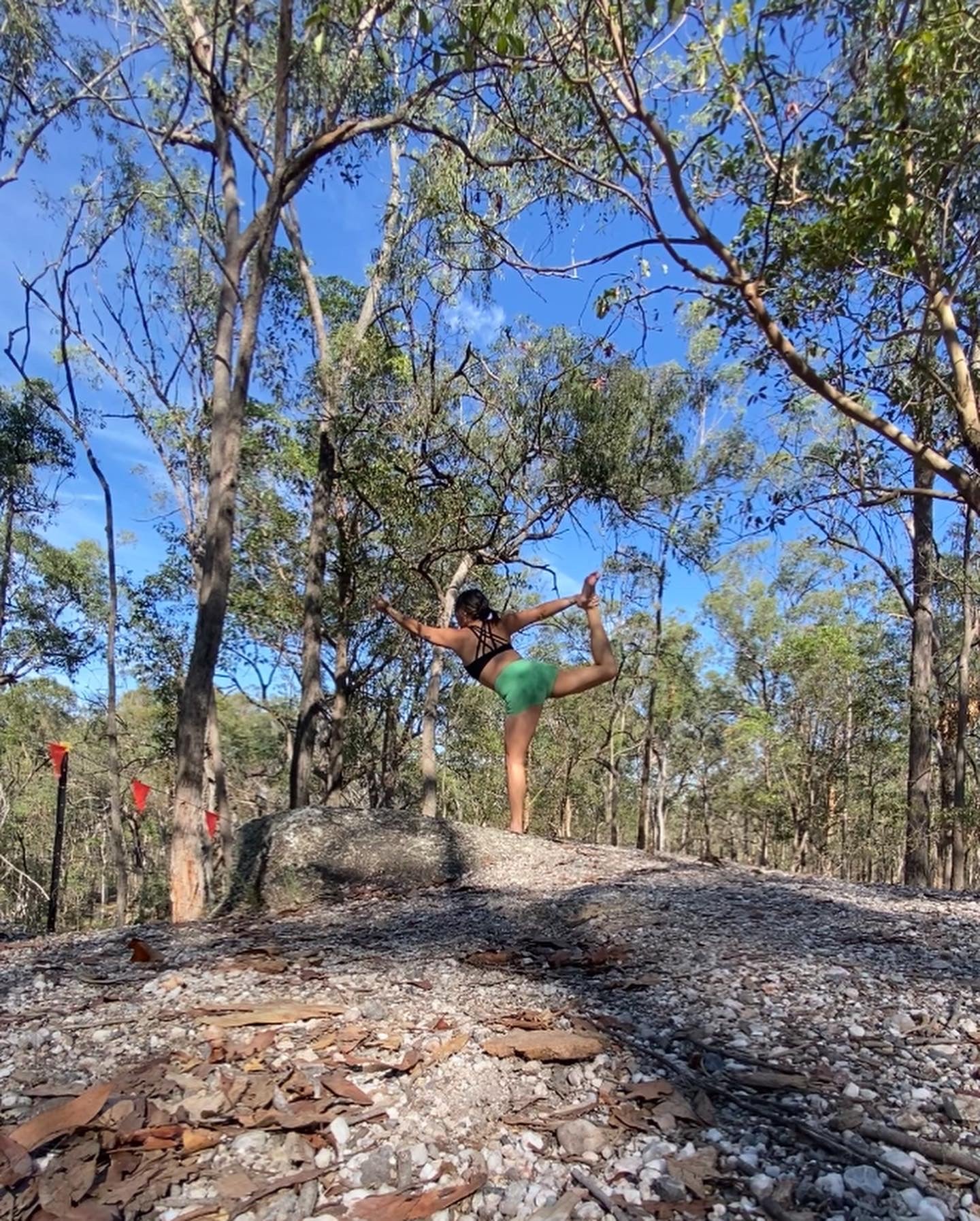 Beginners Morning Yoga Class